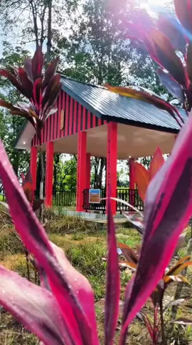 COMING SOON GAWAI ADAT DAYAK NOSUMINU PODI XXI KABUPATEN SANGGAU TAHUN 2025  DAYAK BERSAHABAT UNTUK BERKELANJUTAN  7-9 JULI 2025 RUMAH BETANG RAYA DOR'I MPULOR JIn. Raya Sanggau - Bodok Desa Sungai Mawang, Kec. Kapuas #storyhariini #lewatberanda #gawaidayak #rumahbetangdoriempulor 