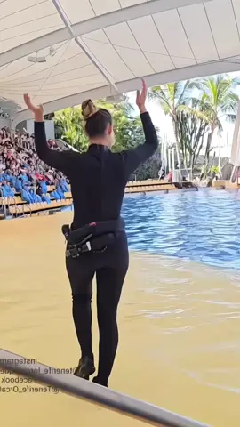 #orcas #trendingg #foryouu #orcas #trendingg #foryouu #orcas #trendingg #foryouu #orcas #trendingg #foryouu #orcas #trendingg #foryouu 