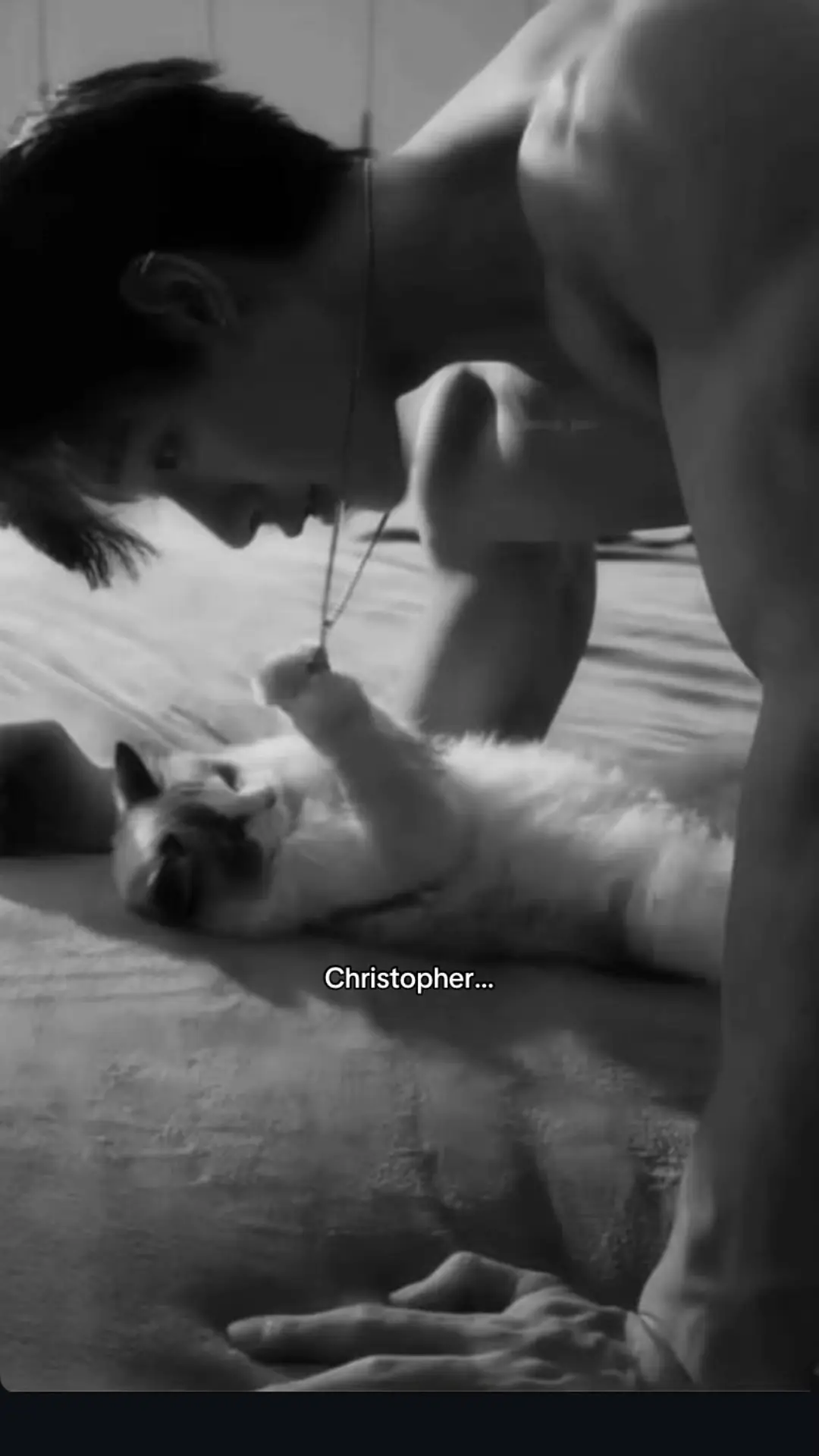 how do I become a cat… #bangchan #bangchanstraykids #bangchanskz #BANGCHAN #straykids #skz 
