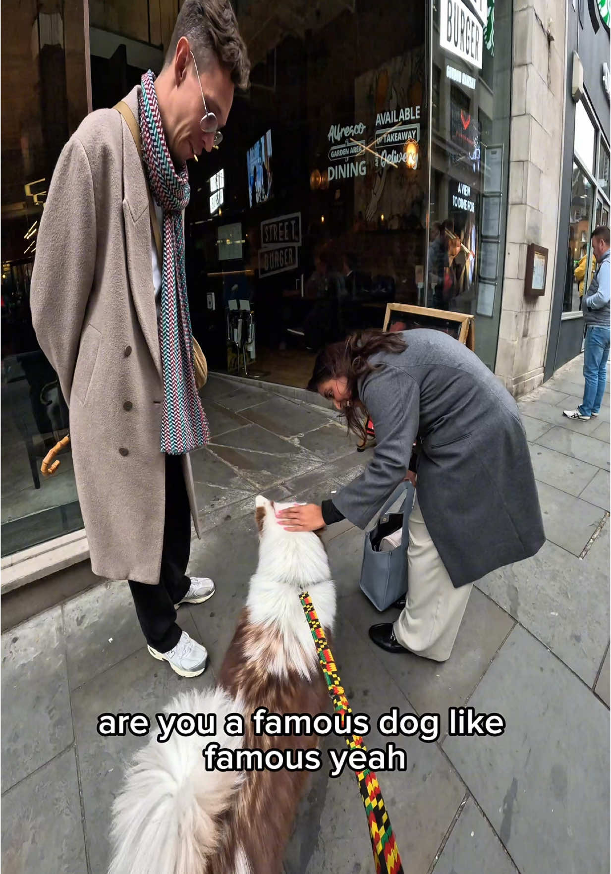 Interactions with my dog!! #husky #viral #pets #fyp #foryou #famous #dog #viola #fypp #fyppp 