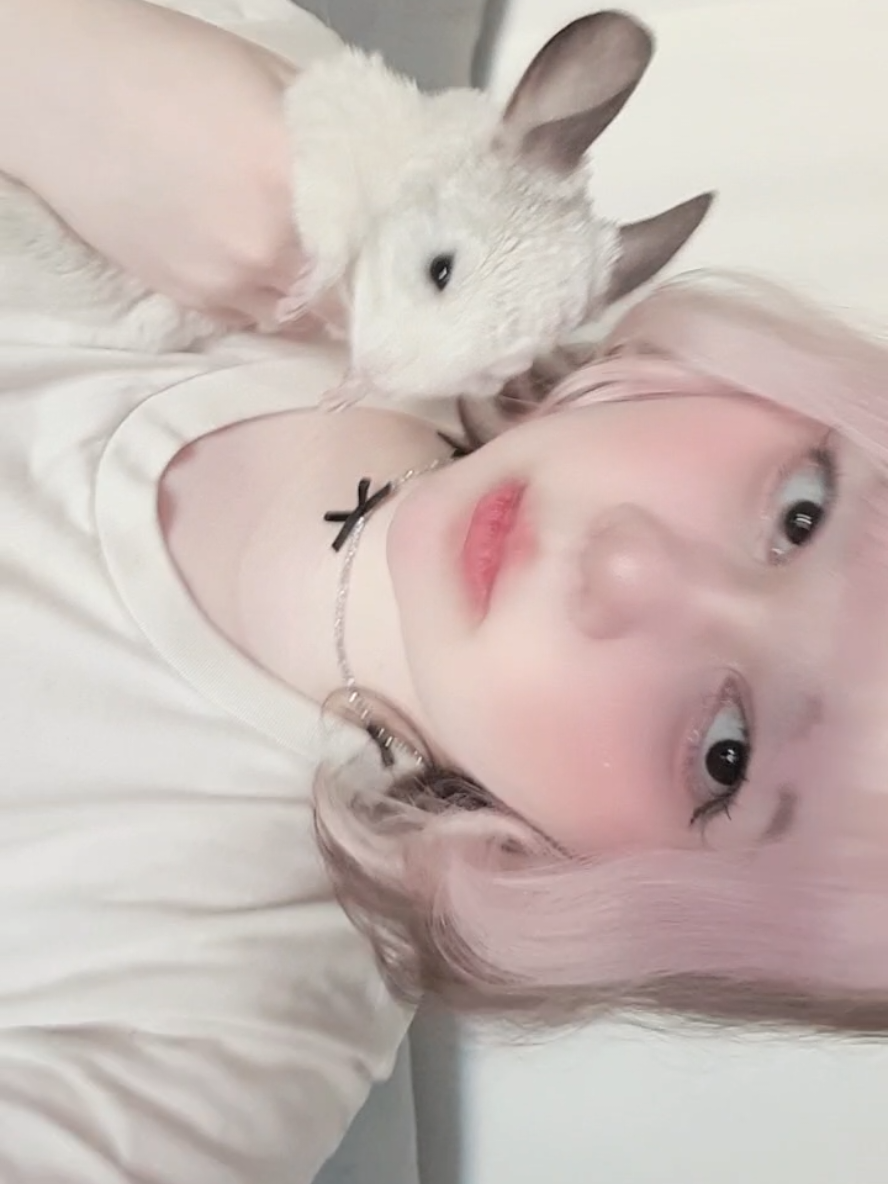 #cutecore #kawaiifashion #jfashion #jsf #shoujogirl #coqquete #wlw #fyp