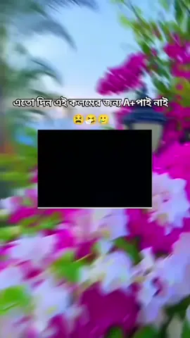 #duet with @𝐒𝐔𝐌𝐀𝐈𝐘𝐀 !🌝 #নোয়া🥰খালীর💞_মেয়ে 