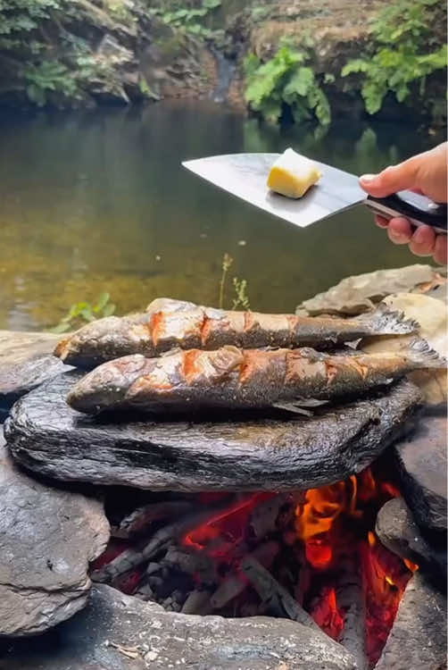 Grilled salmon on hot rocks in nature 🐟💦🪵🔥  #cookingasmr #outdoorcooking #Recipe #leon #cookingnature #camping #foodtiktok #grilled #salmon 