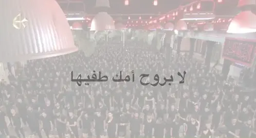 💔. . . . . . . . . . . . . . . #اللهم_صل_على_محمد_وآل_محمد #حوراء🙏🏿 #foryou #fyp #tiktok #باسم_الكربلائي 