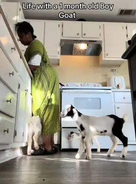Black people with pets #foryou #pets #funnyvideos #fyp 
