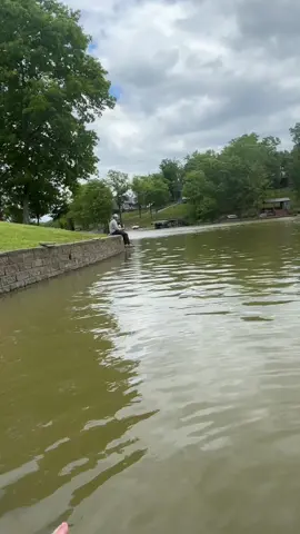 Joey looking for a fishy fishy