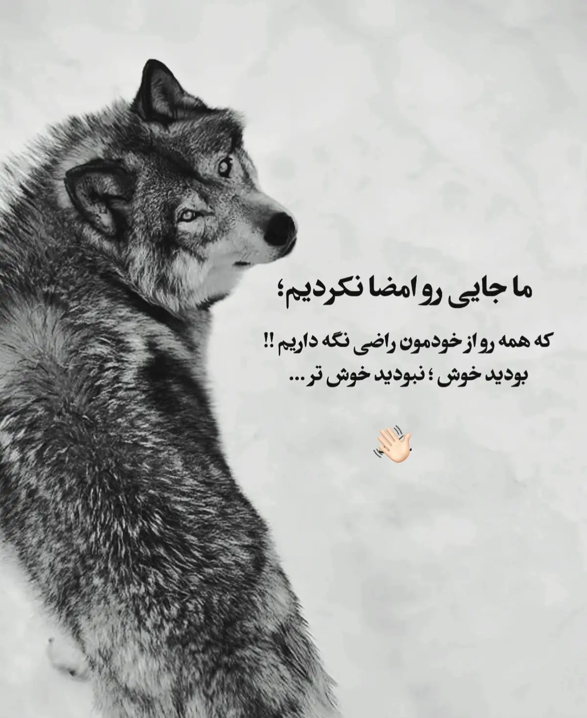 #viral_video #videoviral #🐺  #تاجیک_هزاره_ازبک_پشتون_ترکمن🇦🇫 