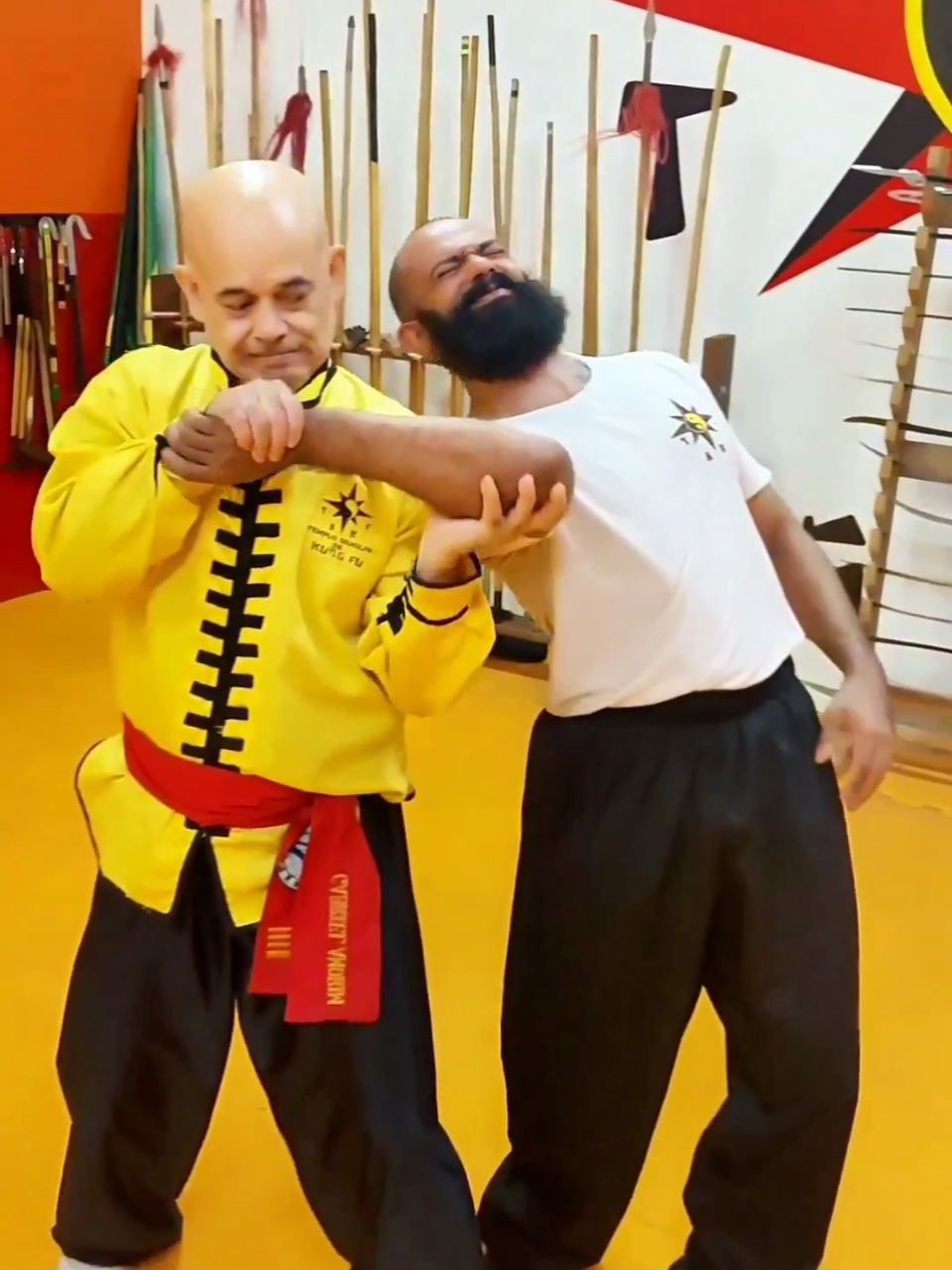 #tskf #kungfu #wushu #artemarcial #artesmarciais #defesapessoal #shaolin #chikung