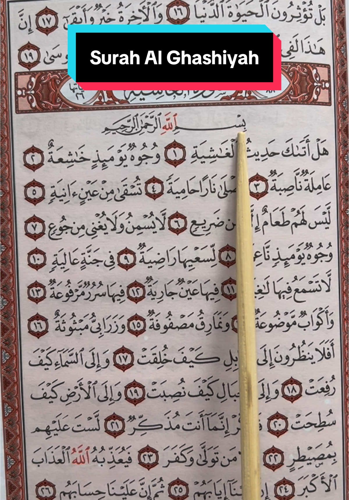 Surah Al Ghashiyah #الغاشية #surat #Quran #القرأن #learning #kareem #islam #foryou #xyzabc #fyp 