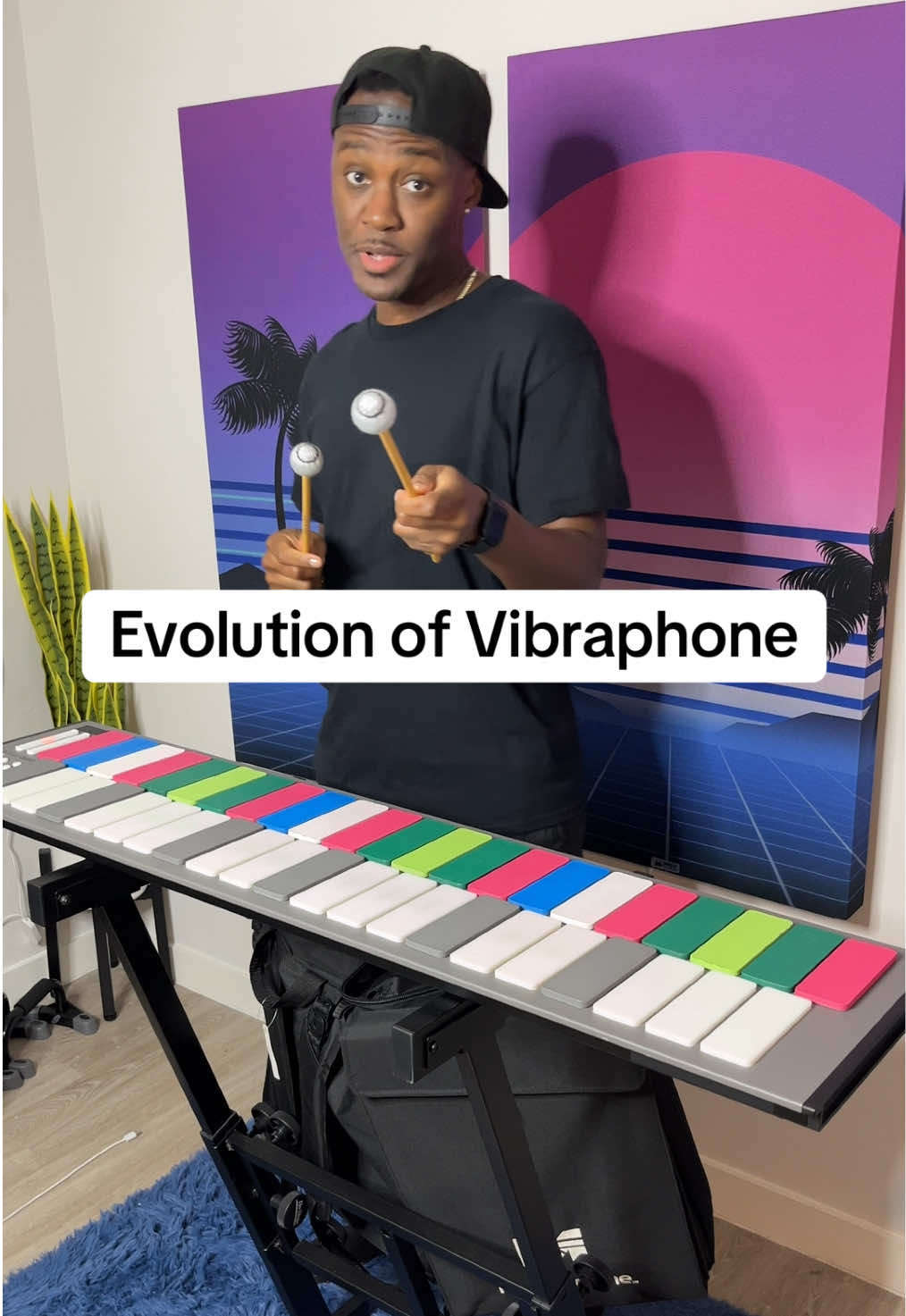 Evolution of vibraphone 🎵 Follow me on Instagram @ismjustinvibes for more exclusive content! #evolution #metapartner