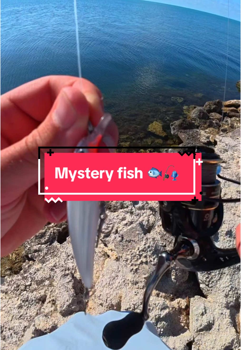 I Caught a Mystery Fish 🐟🎣 @Jolly Roger RV #fishing #fishingvideos #capcut 