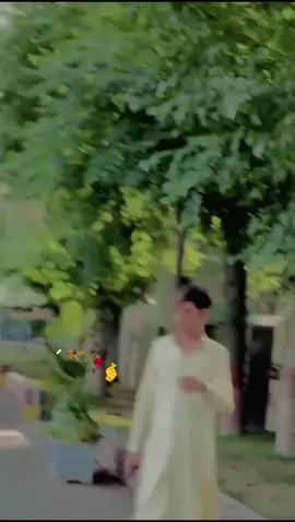 #tiktok #viralvideo #fyp #foryoupage #vral #trndingsong #unfreezemyacount #🤙💔😔🎶viral_para_ti😔🥀🤏 @🦅🦅  HAMZA URFE LEWANAY🦅🦅🥂 