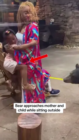 What a scary but heartwarming moment. Sharing this video to educate the public to remain calm in situations like this. #wholesome #kindness #bear 