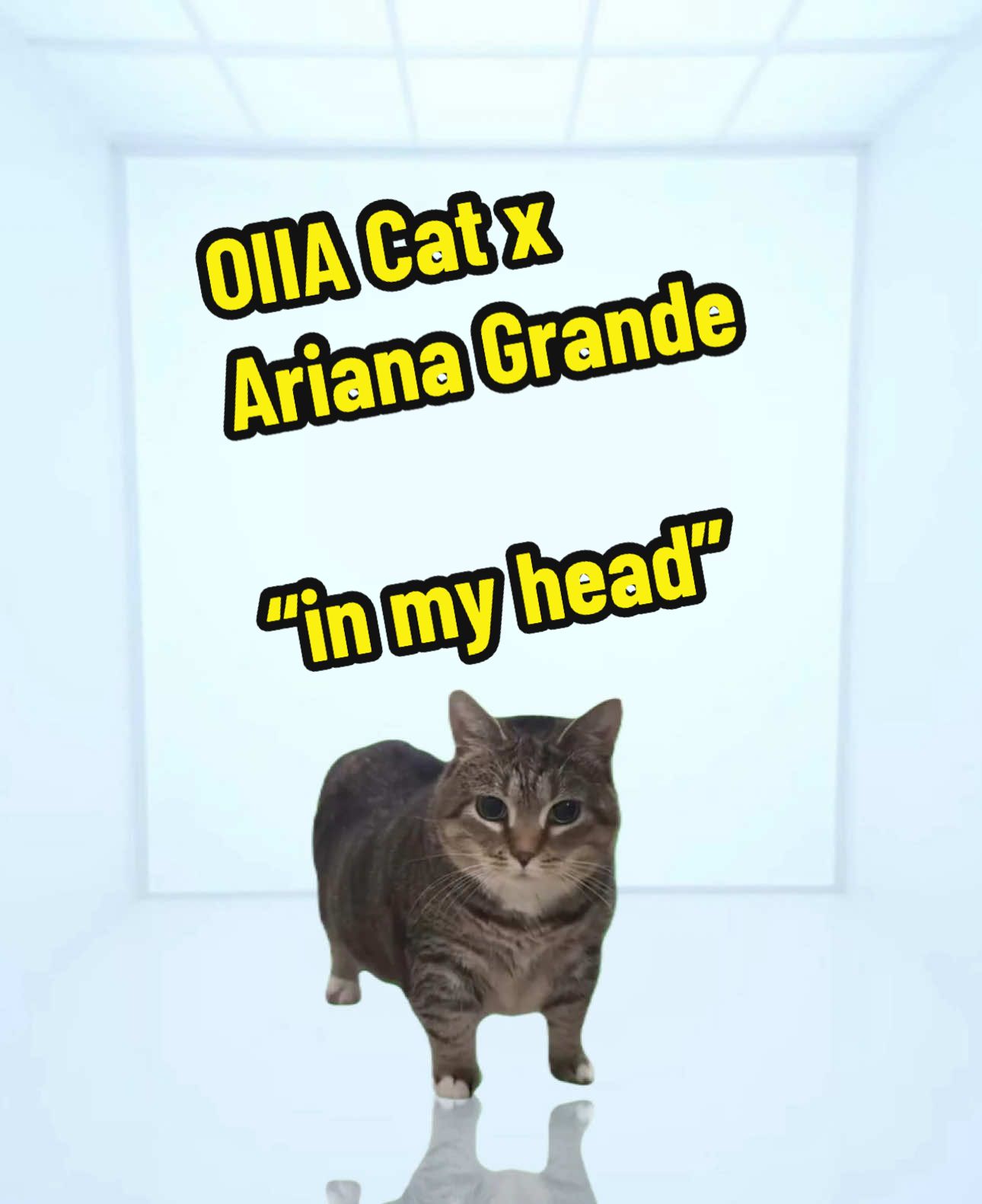 who did it better? ethel or jiafei? OIIA Cat x in my head | Ariana Grande #cat #brainrot #jiafei #song #arianagrande 