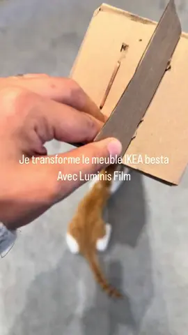 Customisation DIY du meuble BESTÅ avec un film effet bois ! J’ai transformé ce meuble IKEA en lui donnant un look noyer chaleureux et élégant, grâce au film adhésif de @luminisfilm ! Une astuce simple et stylée pour un rendu bluffant ! Bon plan : -10% avec mon code promo LEYZHOME10 sur tout le site de Luminis Film ! Et toi, tu customiserais quoi ? #DIY #CustomisationMeuble #IKEAHack #Besta #LuminisFilm #DecoDIY #Leyzhome 