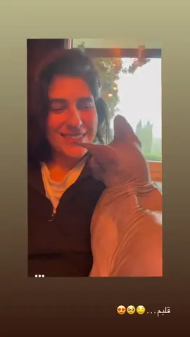 Guck bitte bis zum Ende 🥹 #fyp #fürdich #foryou #viral #trend #tiktokdeutschland #tiktokgermany #funny #comedy #LifeHack #storytime #relatable #viralvideo #deutsch #entertainment #mustsee #wow #reels #explorepage #sphynx 