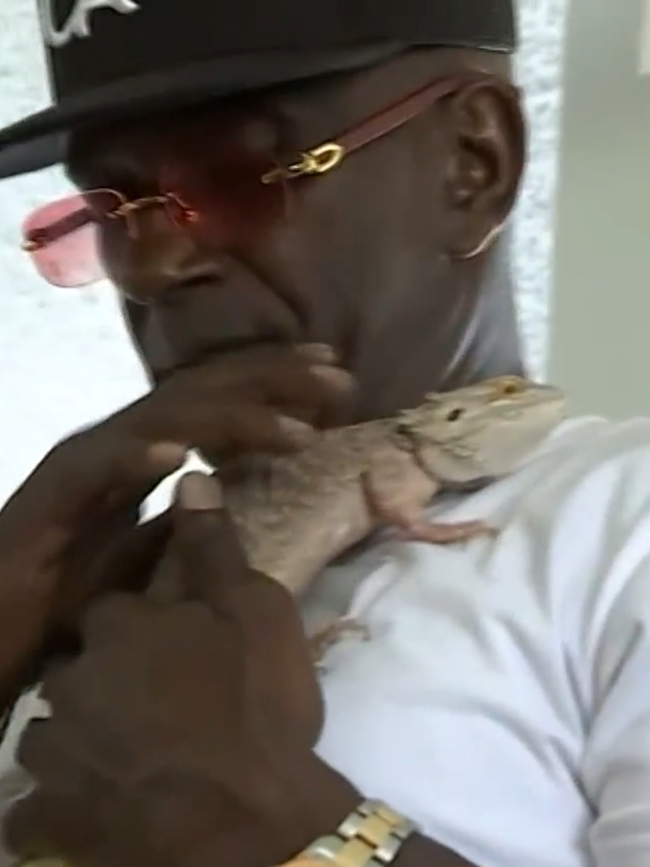 If you have a lizard for a pet, don't doubt that it loves you! Donald Hale says he had just come back from a 13-mile run last weekend when he took some melatonin and fell into a deep sleep. Because of this, he did not hear the two smoke alarms going off, but his pet, Spike, did. And that bearded lizard, he said, saved his life.