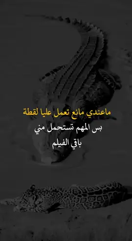 ماعندي  مانع#fyp #you #اعادة_النشر #اكسبلورexplore❥🕊 