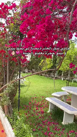 #fyp #foryoupage #viralvideos #explore #powerdz #algerie🇩🇿 #fyyyyyyyyyyyyyyyy #trendingvideo #الشعب_الصيني_ماله_حل😂😂 #fypシ゚ 