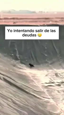 #boleroglam 