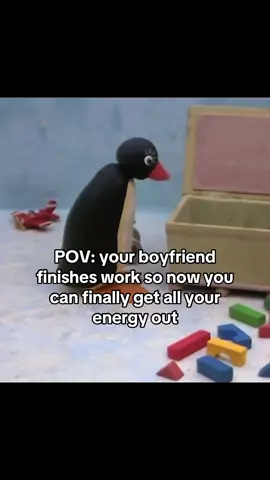 Tag Them! #nootnoot #pingu #boyfriends #couplestiktok 