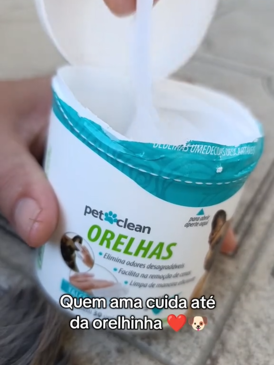 Quem é mãe de pet de verdade não esquece da orelha 😅❣️ #shihtzulovers #pet #dog #cachorro #cuidadospet #dogsoftiktok 