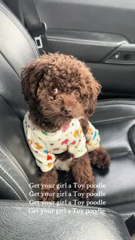 A humans bestfriend #dogs #doginfluencer #dogsoftiktok #losangeles #doggo #dogtok 