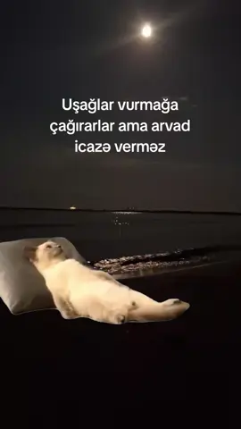 #Meme #MemeCut #CapCut #keşfet #fyp 