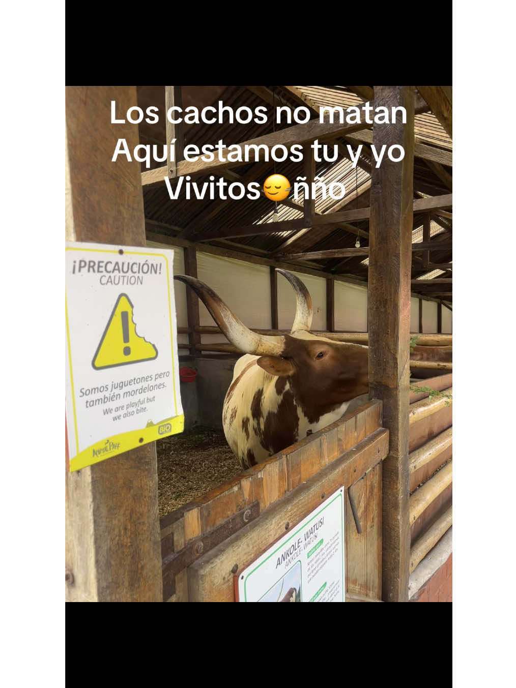 #y#uno #de #aqui #sin  #novia. 😂                                     #fypシ゚ #fypp #humor#paratiiiiiiiiiiiiiiiiiiiiiiiiiiiiiii 