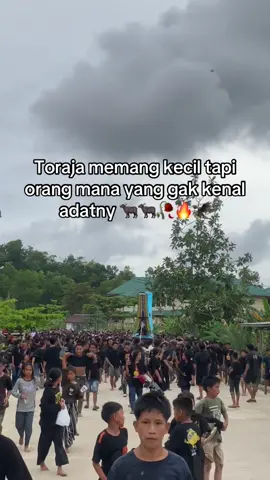#fypシ゚ #tradisipemakamanadattoraja #adattoraja_rambusolo #anaktarakan🔥🏝️ #fypシ゚ 