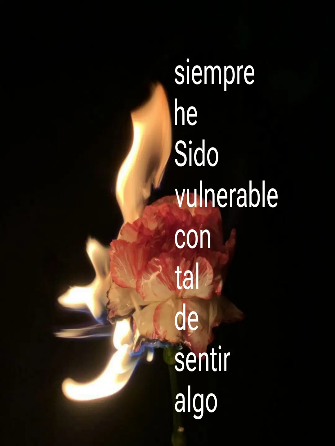 #sentir #vulnerable #pinterestinspired #estoyenparati #fpy #🌀 #vibra #pppppppppppppppp 