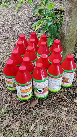 20 chai trâu rừng đen chai 900ml#keşfetteyizzz #music #kpop #t #biovogaothantoc #biovietnam #bioseudenhanh #humornotiktok #xuhuong2023 #qatar2022 #keşfet #xuhuong #k #q #humor #meme #bio #xuhuongtiktok #musica #biosieuruocdong 