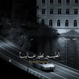 #fyp #foryou #explore #bts_official_bighit #فـيــولا #فـيوليـت♡ #قطة_تايتاي #funny #bangtan #fun #١٩٩٧ 