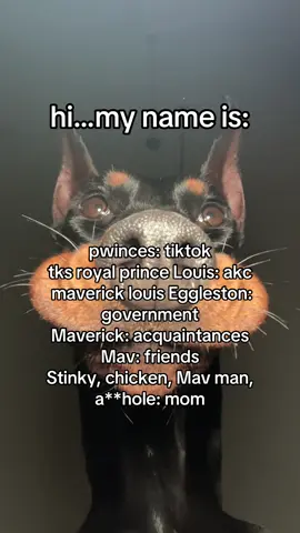 trend hopping #name #dogsoftiktok #nicknames
