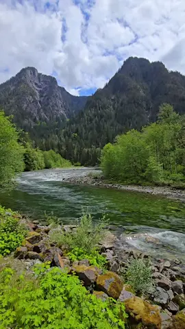 The Evergreen State 🌲⛰️🌿 #pnw #nature #river 