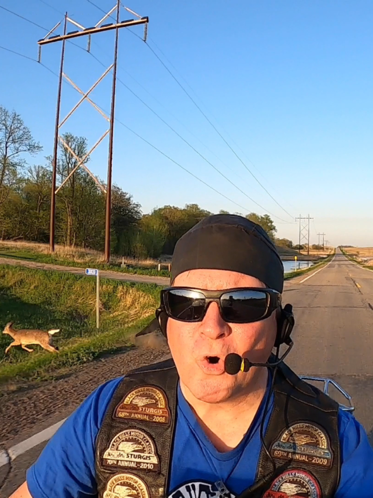 deer collision near miss 