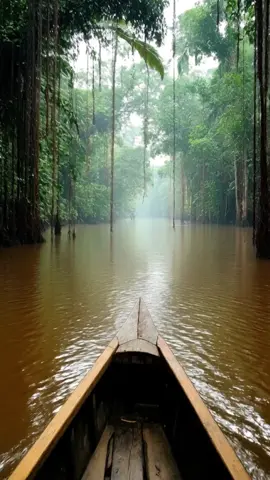 Sailing deep through the Amazon River rainforest 🌿🚤 #Amazon #Brazil #Peru #Riverboat #Adventure #Extreme #Boat #Travel #CapCut #klingai#AI #Rainforest