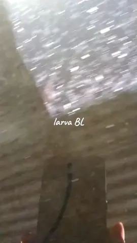 Berbudidaya adalah, merekayasa seperti hidup di alam aslinya.