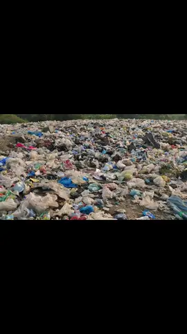 plastic pollution is ruining the earth. #fypp #plastic #pollution #climate #crisis #environment 