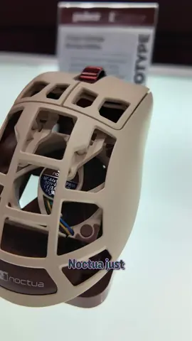 Noctua Mouse
