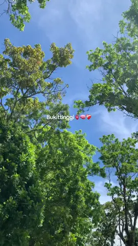bukittinggi setenang itu✨🍃 #fyp #vibes #bukittinggi #sumaterabarat 