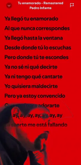 #tuenamorado #pedroinfante #puro_camaron_ #letra #lirycs #cancionconletra #songwithlyrics #amor #desamor #duo #duet #gdl #jalisco #fyp #parati #foryoupage #musica #cancioncompleta #jueves 