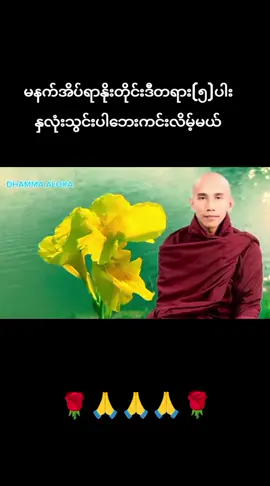 #သစ္စာရွှေစည်ဆရာတော်အရှင်ဥတ္တမ၏တရားတော် #တရားတော်များနာယူနိုင်ပါစေ🙏🙏🙏 #မေတ္တာဖြင့်မျှဝေပေးပါသည်✍ 
