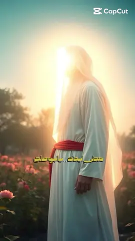 مدلي يدك ياابو صالح #البقيع_مطلب_إسلامي #لايوم_كيومك_ياابا_عبدالله