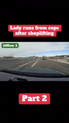 Cops catch shoplifter after high speed chase pt. 2     #cops #clips #shoping #highspeed 