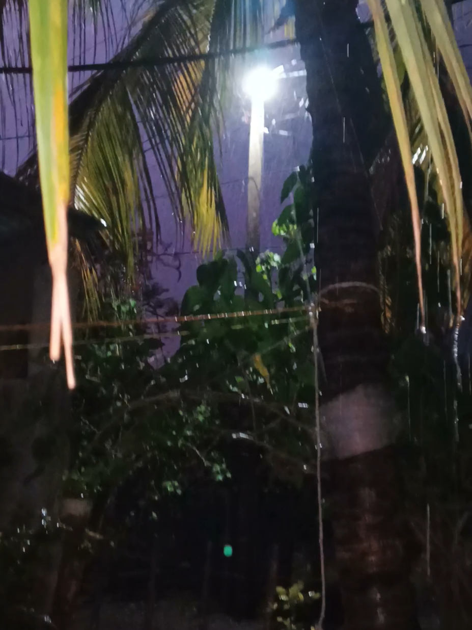 #NoticiasGTCiudadPedrodeAlvarado  Gente bonita por fin llueve en Ciudad Pedro de Alvarado, ya este Calor era insoportable la verdad,,, Gracias Dios🙏 por tus infinitas Bendiciones y Gracias por esta lluvia que nos as enviado #frpシ #tiktok_video #tiktok_viral 