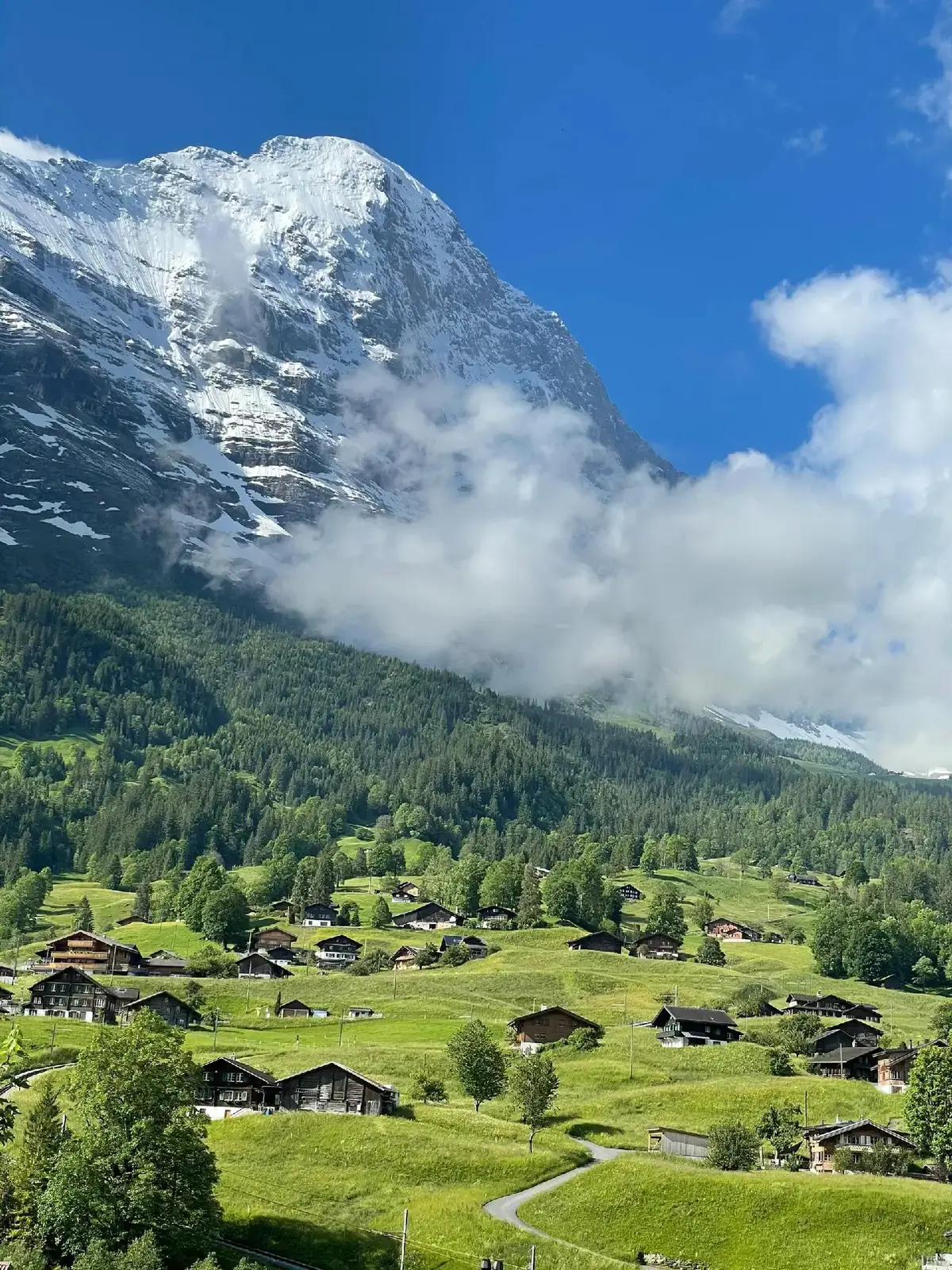 Switzerland in summer – pure enchantment 🇨🇭🐢 #binhyencanhdep #fyp 