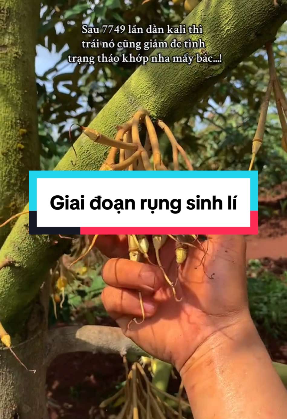 Thoát đc một kiếp nạn đau đầu rồi mấy bác..Giờ đến giai đoạn đau tim🫀 