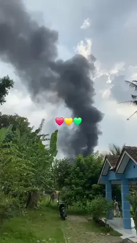 modal ceban dapet singkong