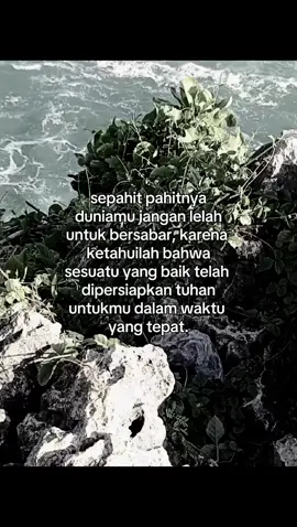 #fyp#masukberanda #pacitan24jam #xybca 